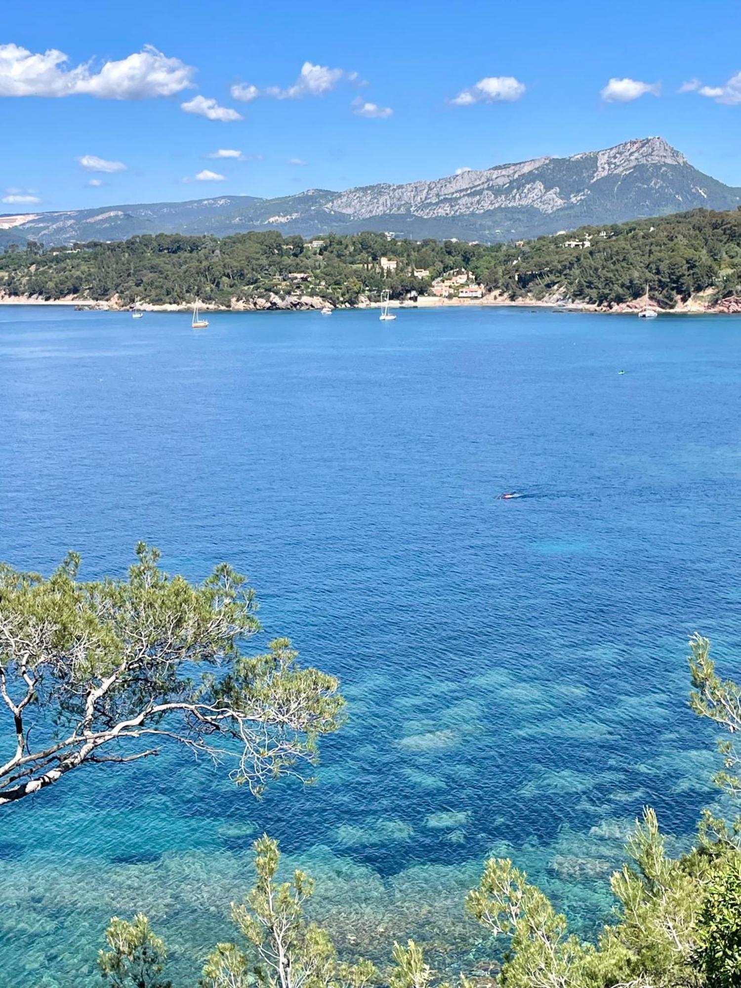 Agréable studio vue mer refait à neuf&climatisé Le Pradet Exterior foto